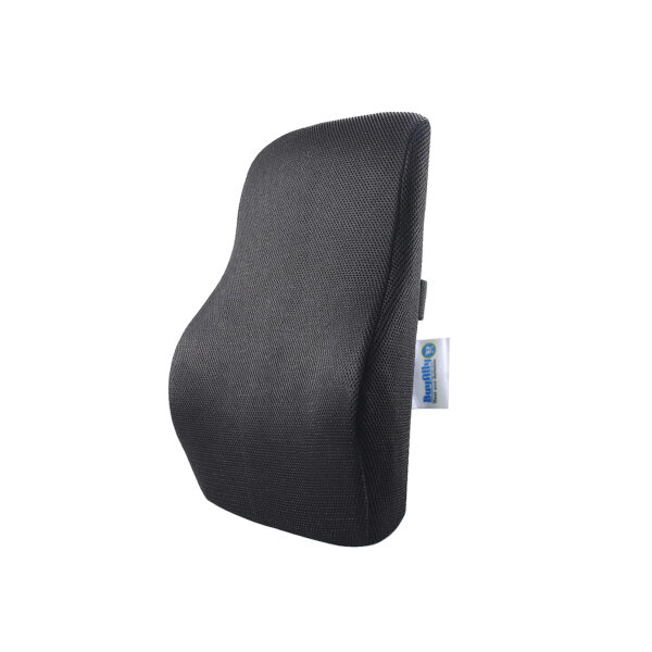 BuyAlly_Lumbar_Support_Pillow