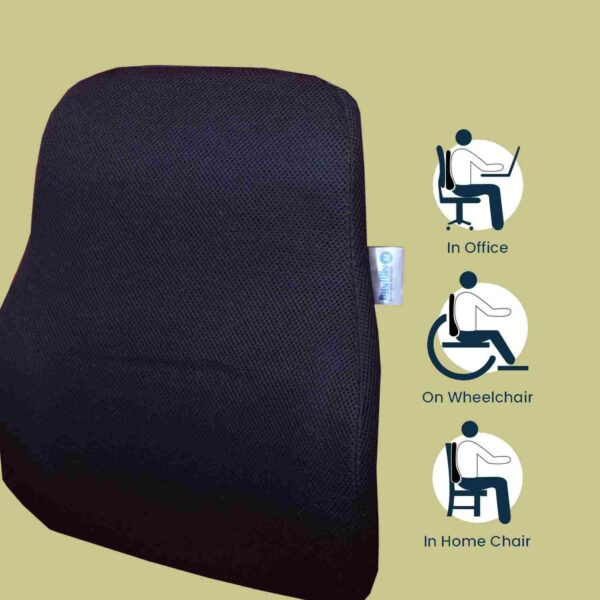 Lumbar Support